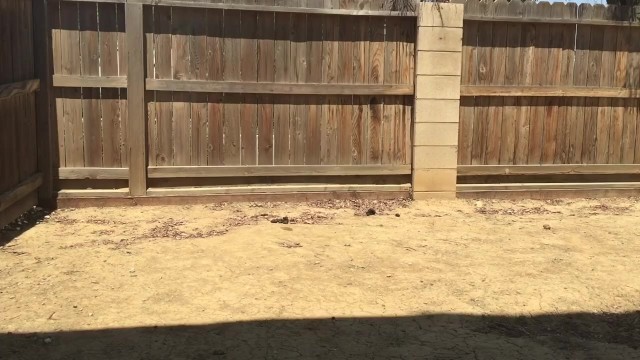 Pissing in my Backyard