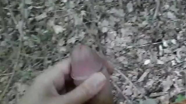 Guy Masturbating in a Park